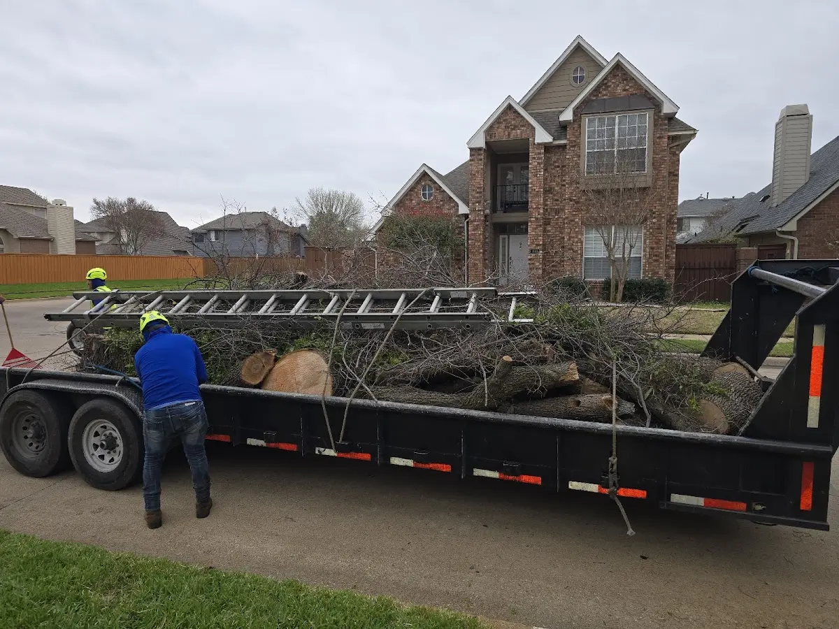 Expert Lot Clearing with proper safety equipment in Glen Rogers